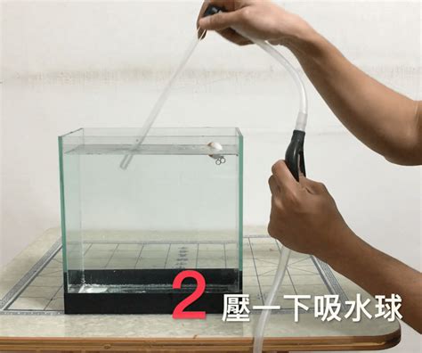 魚缸換水